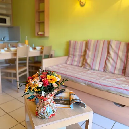 假日公园 Lagrange Le Village Des Aloes 3*