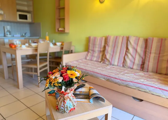 假日公园 Lagrange Grand Bleu - Le Village Des Aloes 3*